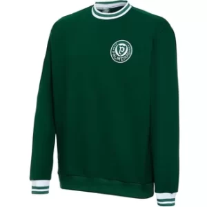 Blusa Moletom Palmeiras Retrô 1973 Verde Masculina - Verde